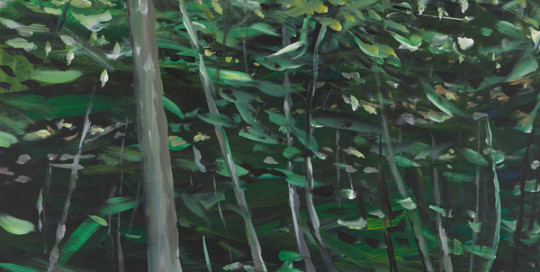 Summer Trees 20x16